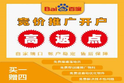 百度竞价排名之成功案例：看广告如何转化为销量